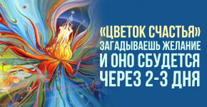 «Цветок счастья» загадываешь желание и оно сбудется через 2-3 дня