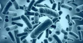 Вы думали вы в папу? Ошибаетесь! Немного фактов из мира генетики