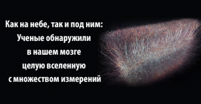 Как на небе, так и под ним: Ученые обнаружили в нашем мозге целую вселенную с множеством измерений.