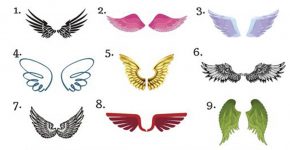 Какие крылья Ангела примерите Вы? Просто выберите одну пару крыльев и узнайте…