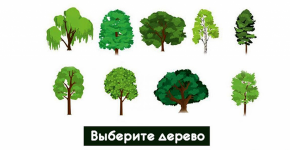 Древнескандинавский тест! Выберите дерево души и смотрите свое предсказание!