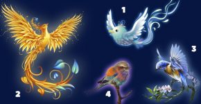 К Вам прилетели птицы счастья! Выберите одну, чтобы получить послание!