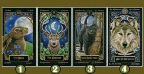 Выберите карту Таро: получите предсказание о себе