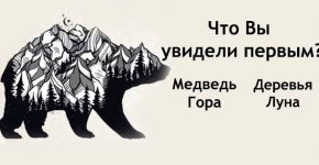 Тест: Что первым вы увидели на картинке?